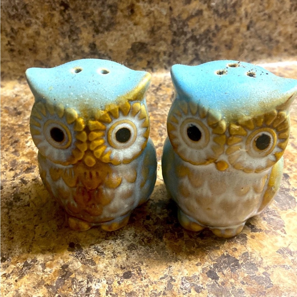 🔥 Owl Salt and Pepper Jars from Boutique